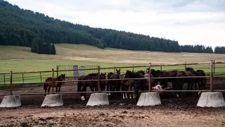 Trip Muránska planina, Muránsky hrad, syslové