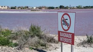 Ford trip, Camargue