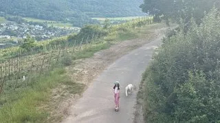 Fotr na tripu 11, Bernkastel-Kues a okolí