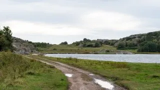 Volvo trip: Toftenäs naturreservat