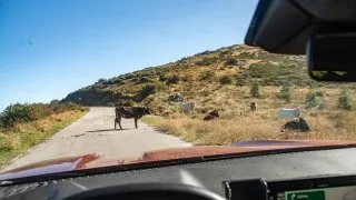 Dacia Bigster, trip Itálie, Bruncu Spina