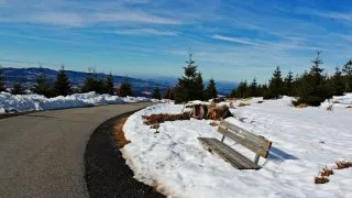 Třístoličník, Šumava