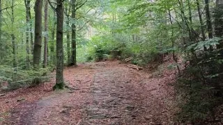 Haškův kraj
