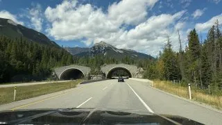 Fotr na tripu 10, Alberta vs Kolumbie