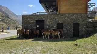 Andorra Estanys de Tristaina