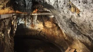 Postojnska jama