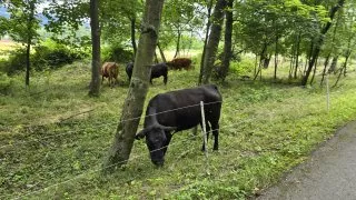 Inline Rožnovská Bečva