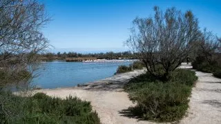 Ford trip, Camargue