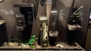 Národní muzeum Praha