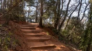 Ford trip, Roussillon