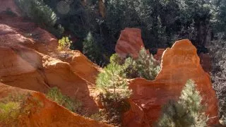 Ford trip, Roussillon