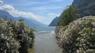 Inline Lago di Garda