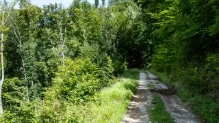 Trip Muránska planina, Litterra a rozhledna