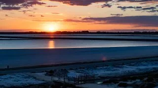 Ford trip, Camargue