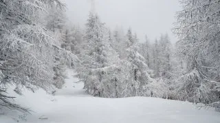 Hory Itálie 2025, cesta