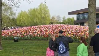 Keukenhof