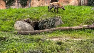 Ford trip, Parco Natura Viva