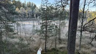 Fotr ve Finsku, design