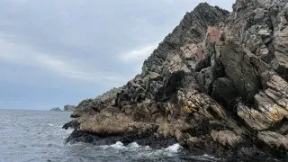 Fotr na tripu 10, velryby