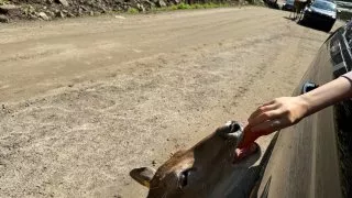 Fotr na tripu 10, Parc Omega