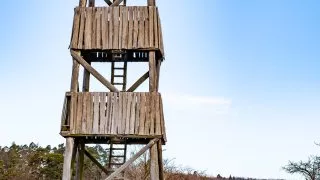 Subaru trip, Baťa, cesta
