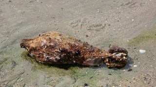 Normandie dělostřelecký granát