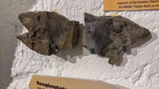 Slovinský trip - Solčava