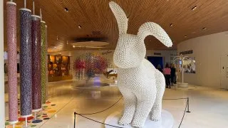 Fotr 11, Helsinky, čokoládovna