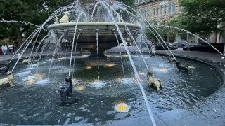 Fotr na tripu 10, psí fontána