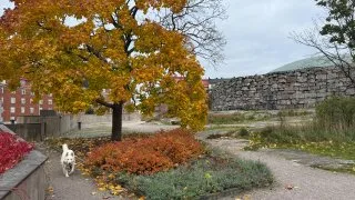 Fotr 11, Helsinky, Temppeliaukio Church