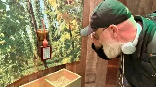 Fotr na tripu 11, Bruggy na talíři