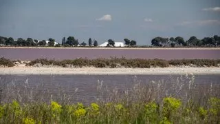 Ford trip, Camargue