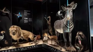 Národní muzeum Praha