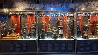 Fotr na tripu 10, hokejová síň slávy