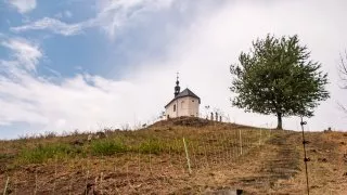 Škoda 130 let, Radostín a další RZ Bohemia Rally