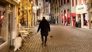 Fotr na tripu 11, Bruggy