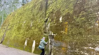 Fotr na tripu 9, Vlčí doupě