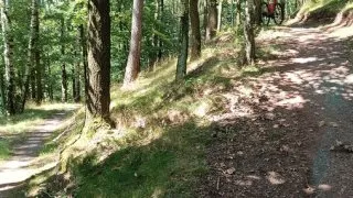 Orlické hory na gravelu