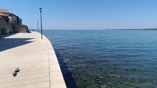 Parenzana II