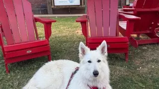 Fotr na tripu 10, Ostrov prince Edwarda