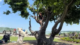 Fotr na tripu 10, Niagarské vodopády