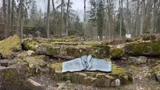 Fotr na tripu 9, Vlčí doupě