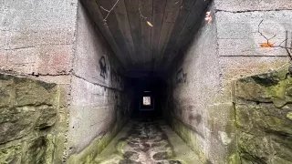 Subaru trip, Baťa, Bunč