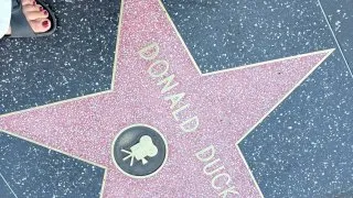 Fotr na tripu 12, Hollywood