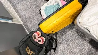 Taška CAT Signature