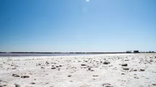 Ford trip, Camargue