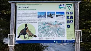 Třístoličník, Šumava
