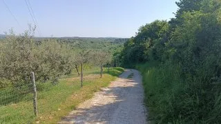 Parenzana III