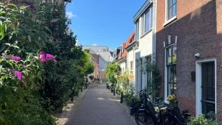 VW Haarlem