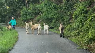 Trip Muránska planina, Jelšava a Železník